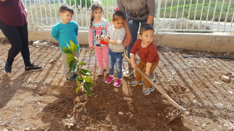 נטיעות ט"ו בשבט תשע"ז