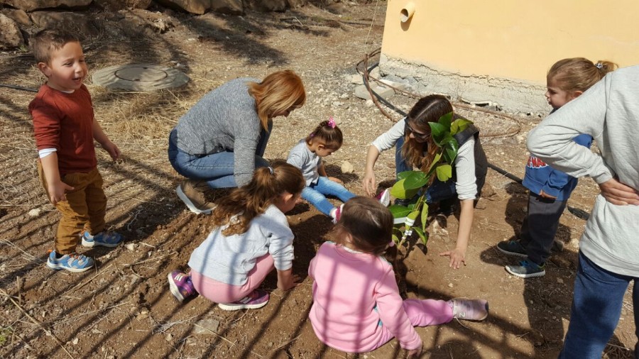 נטיעות ט"ו בשבט תשע"ז