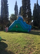 הפנינג ילדים מושבה כנרת (4)